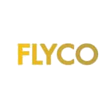 Flyco logo representing an AI-driven SEO agency for digital marketing.