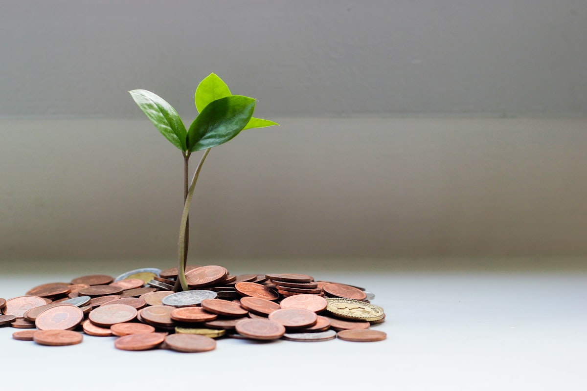 SEO Pricing Singapore 2026: What You Should Expect to Pay (and Why)